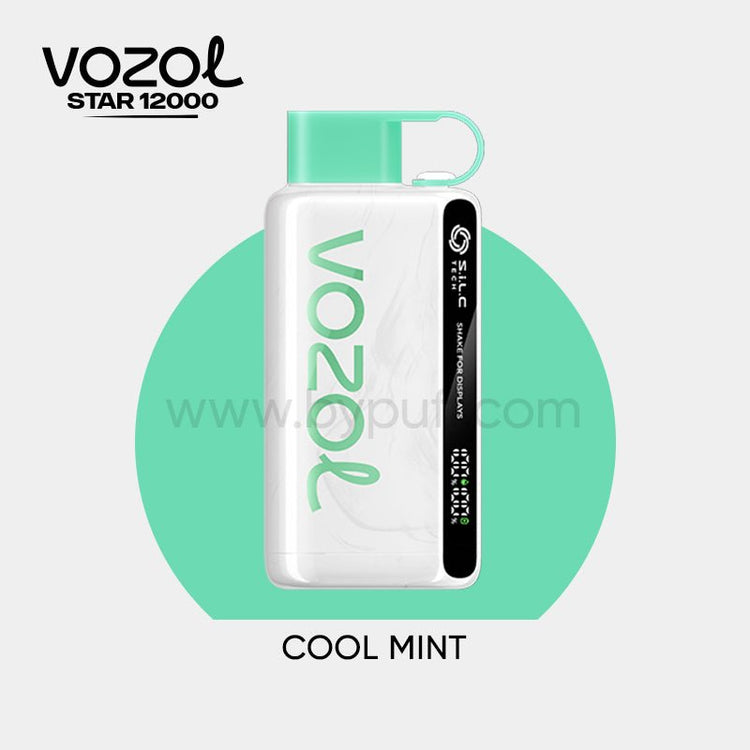 Vozol 12000 Cool Mint - ByPuff